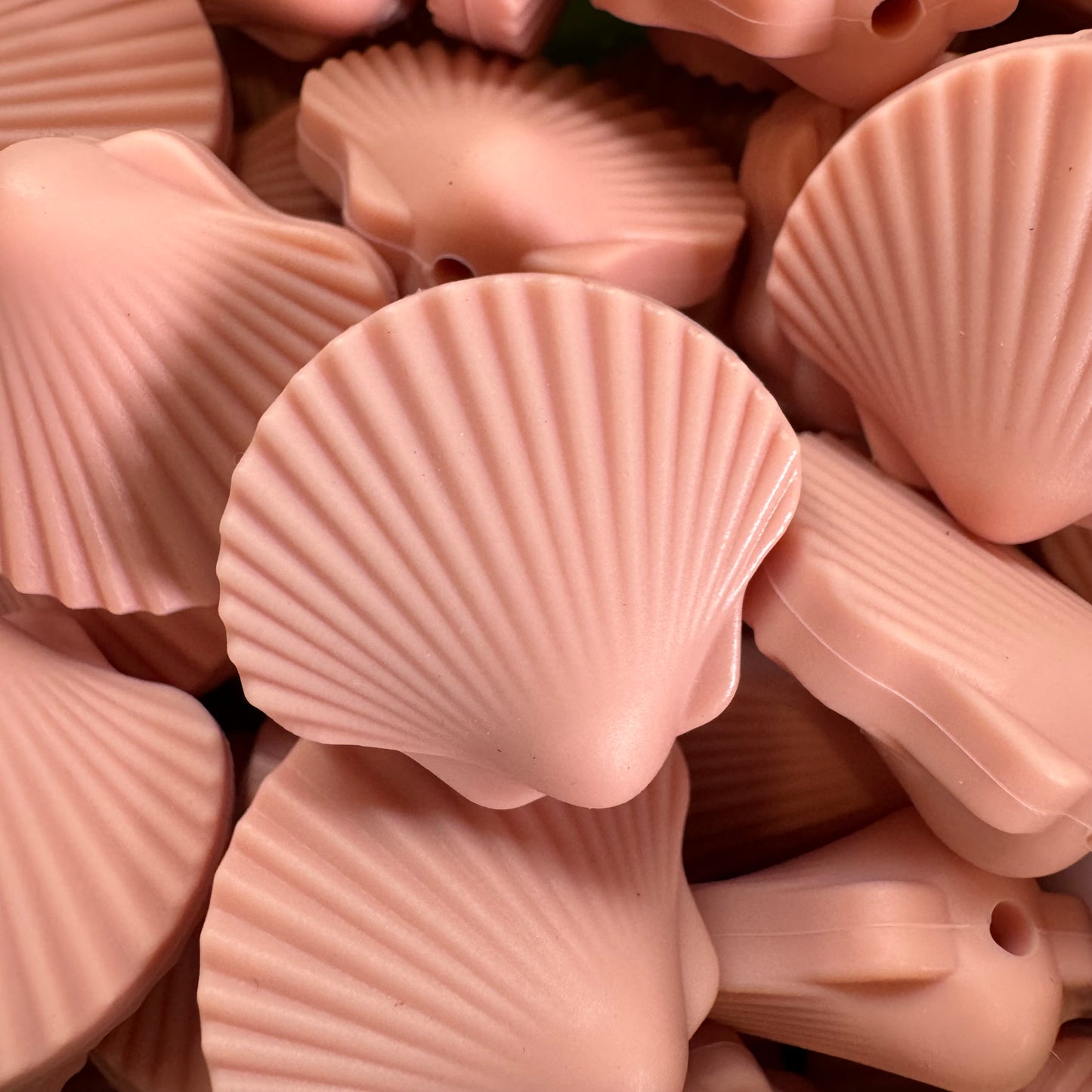 Seashell