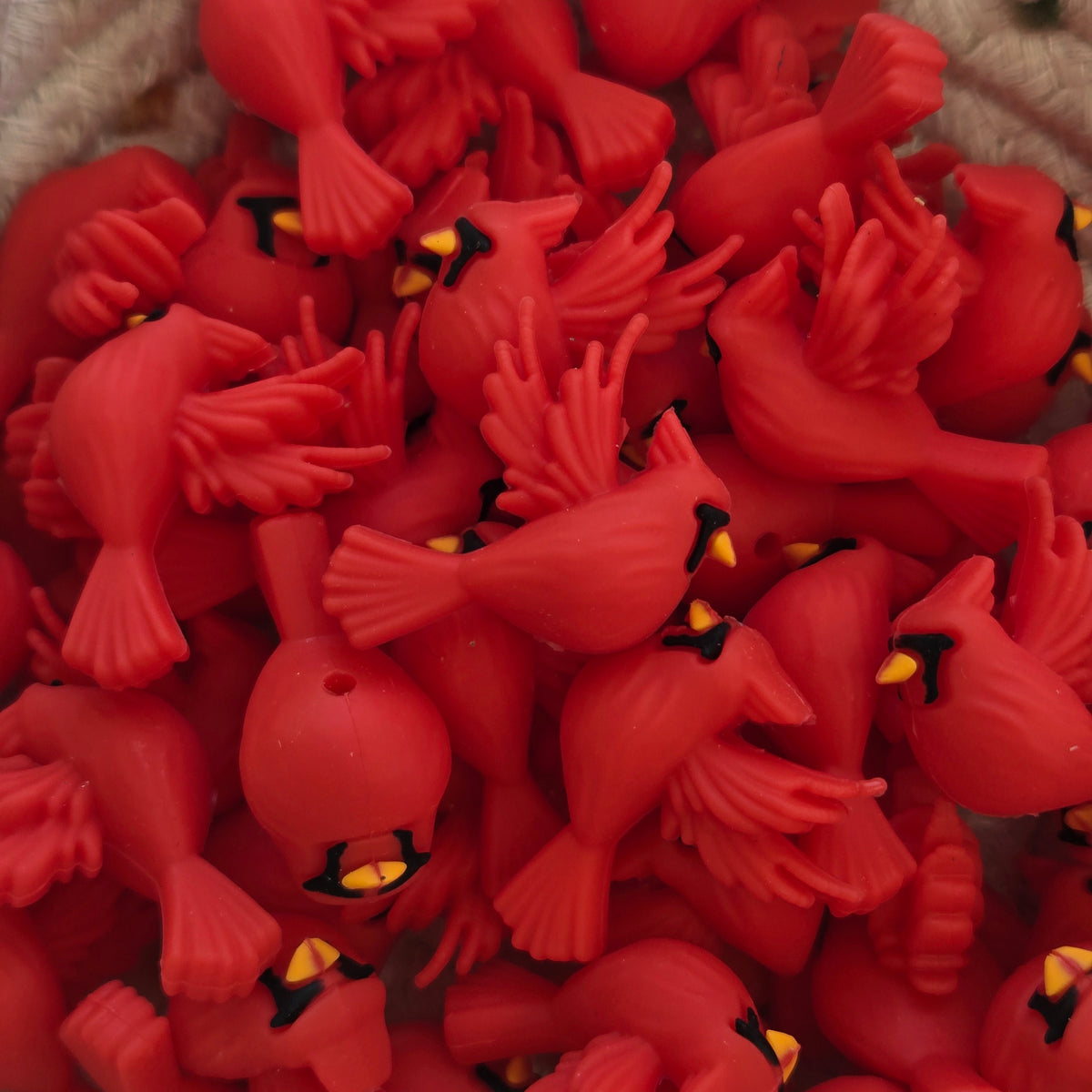 3D Cardinal