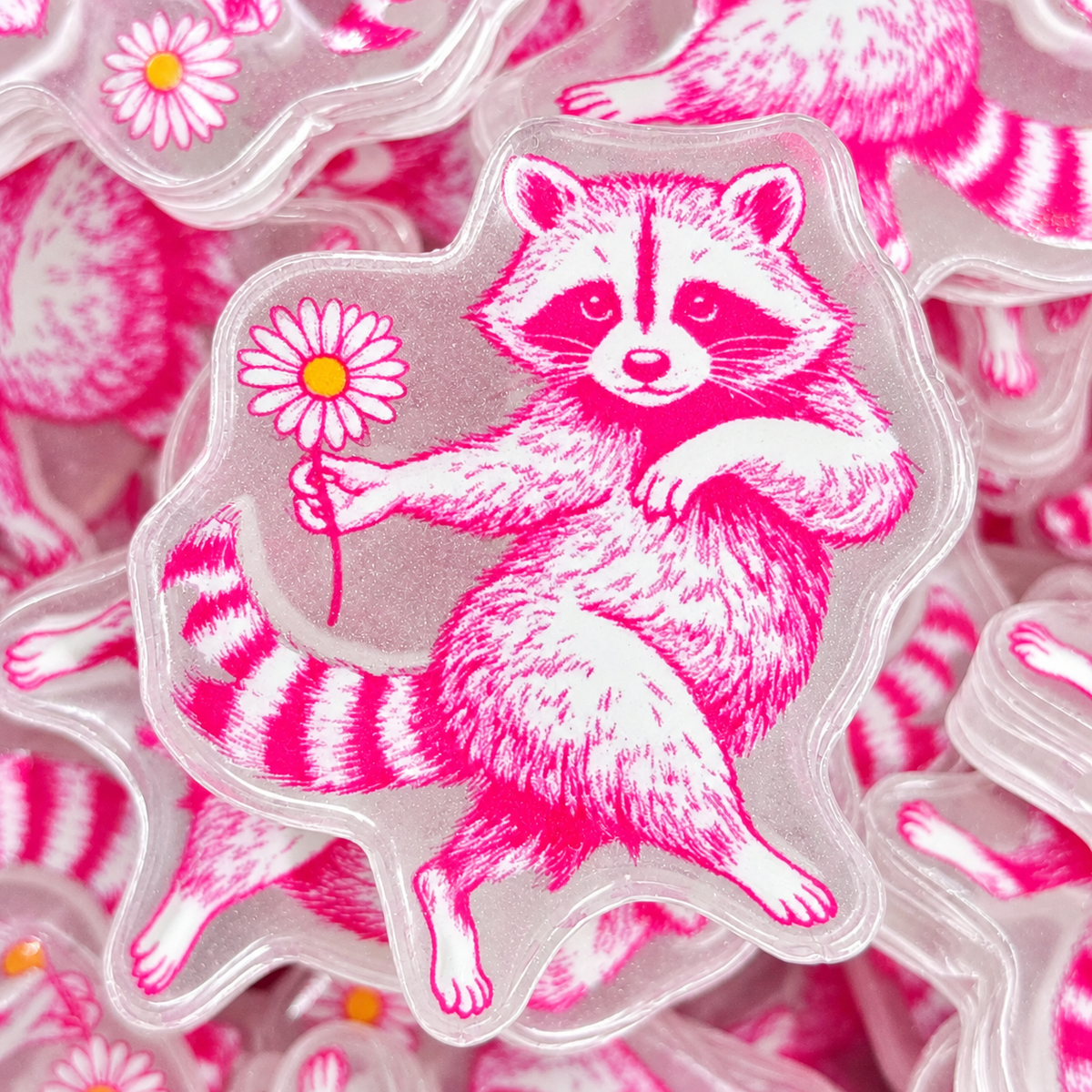 Pink Raccoon