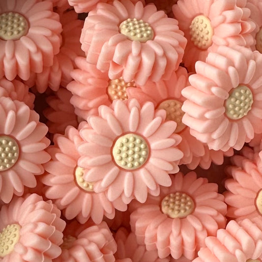 Mini Pink Daisies