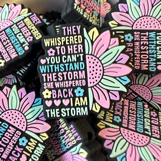 I Am The Storm