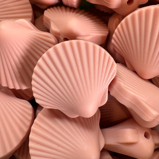 Seashell