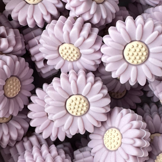 Mini Purple Daisies