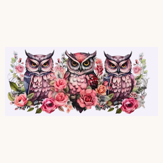 3 Pink Owls