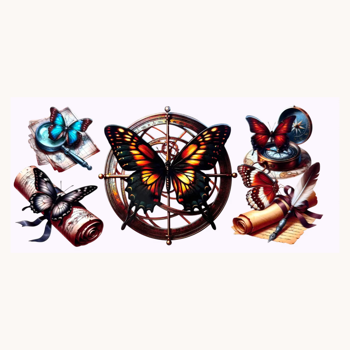 Butterflies & Compass