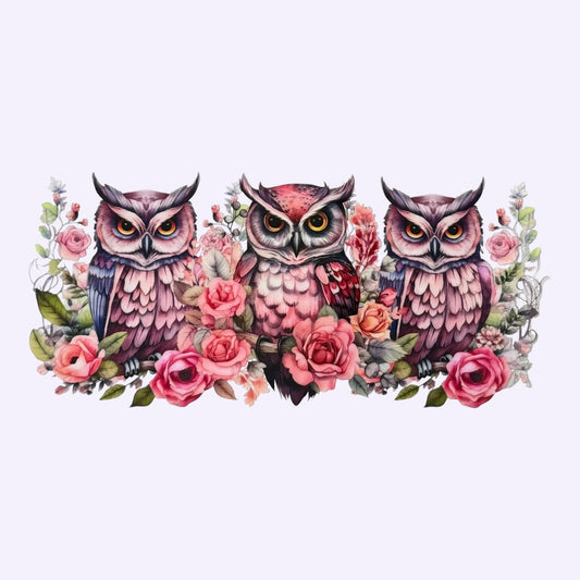 3 Pink Owls