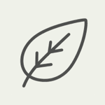 Leaf icon