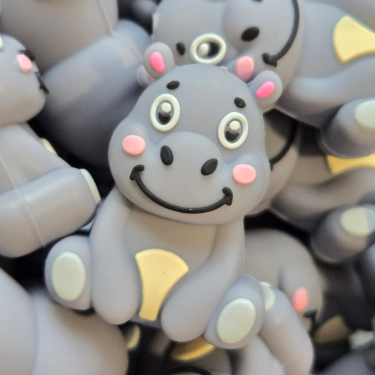 3D Hippo