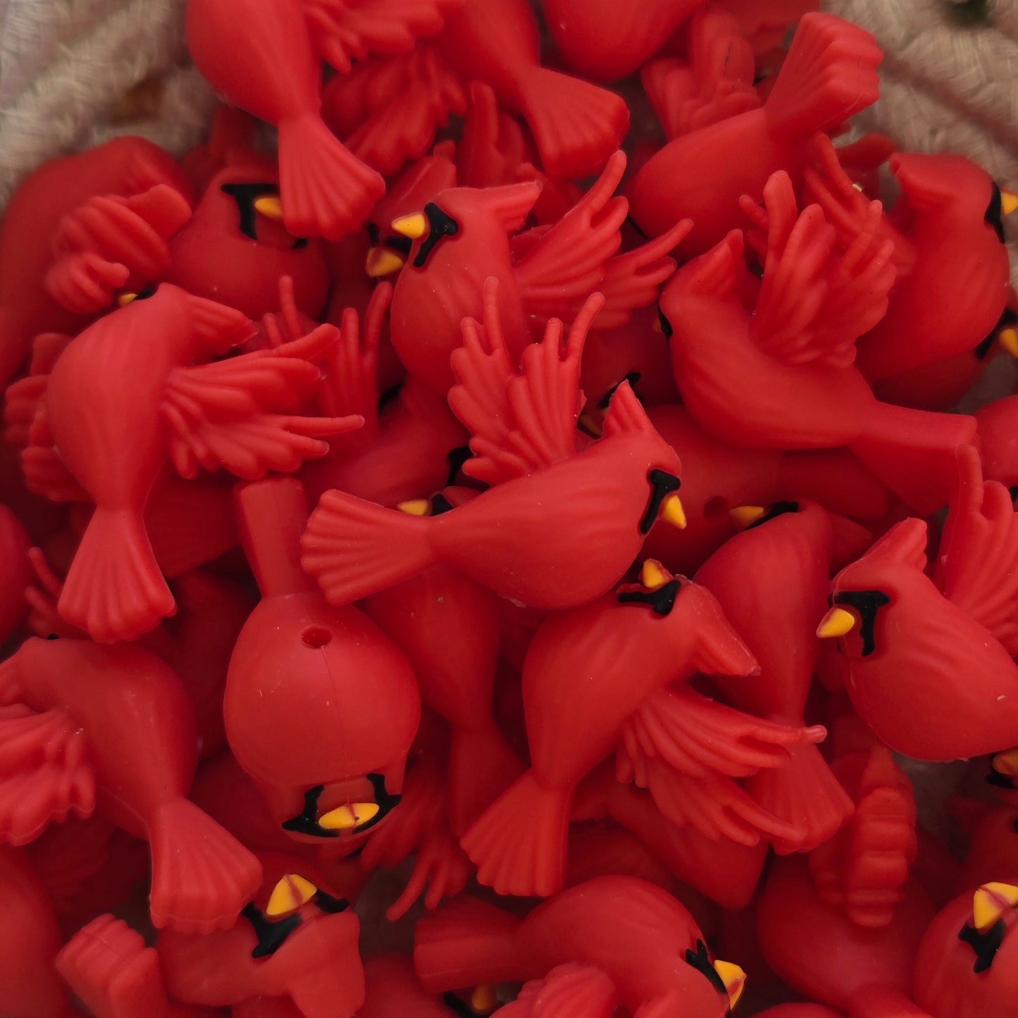 3D Cardinal