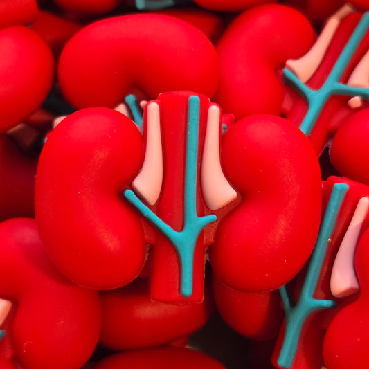 3D Kidneys