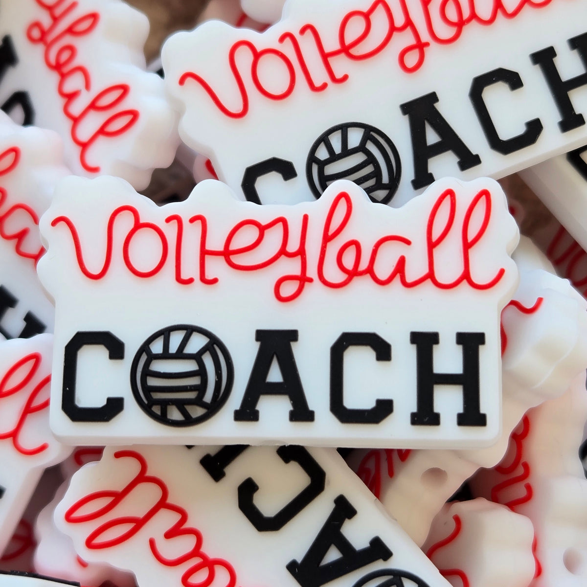 Volleyball Coach