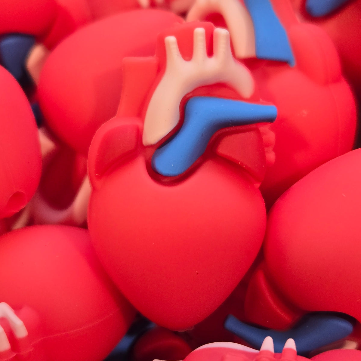 3D Heart